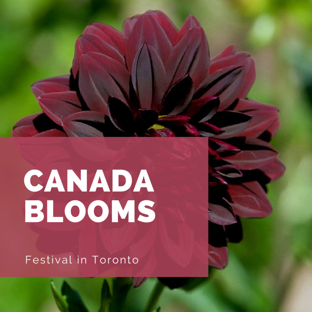 Canada Blooms