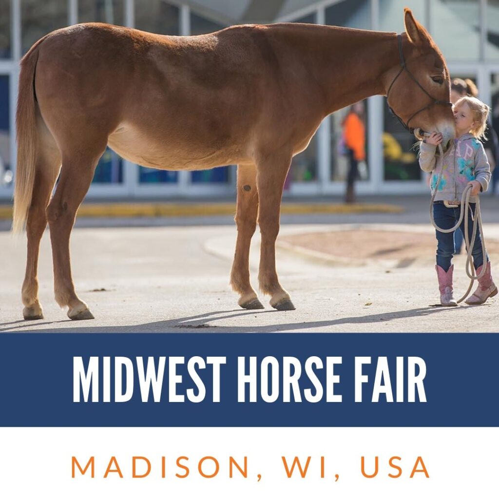 Midwest Horse Fair