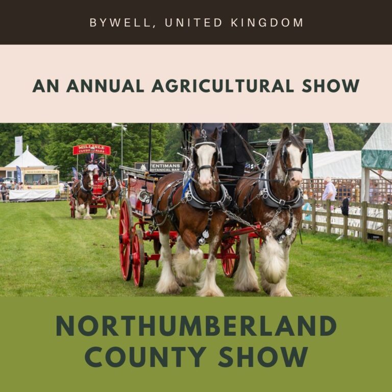 Northumberland County Show 2024 Bywell, United Kingdom Eventlas