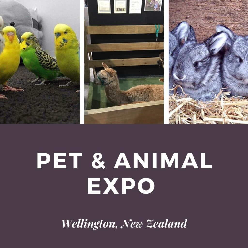 Pet & Animal EXPO