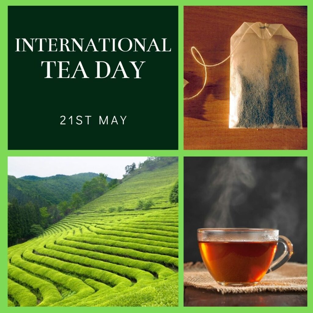 National Tea Day 2024 India Theme - Ynes Amelita