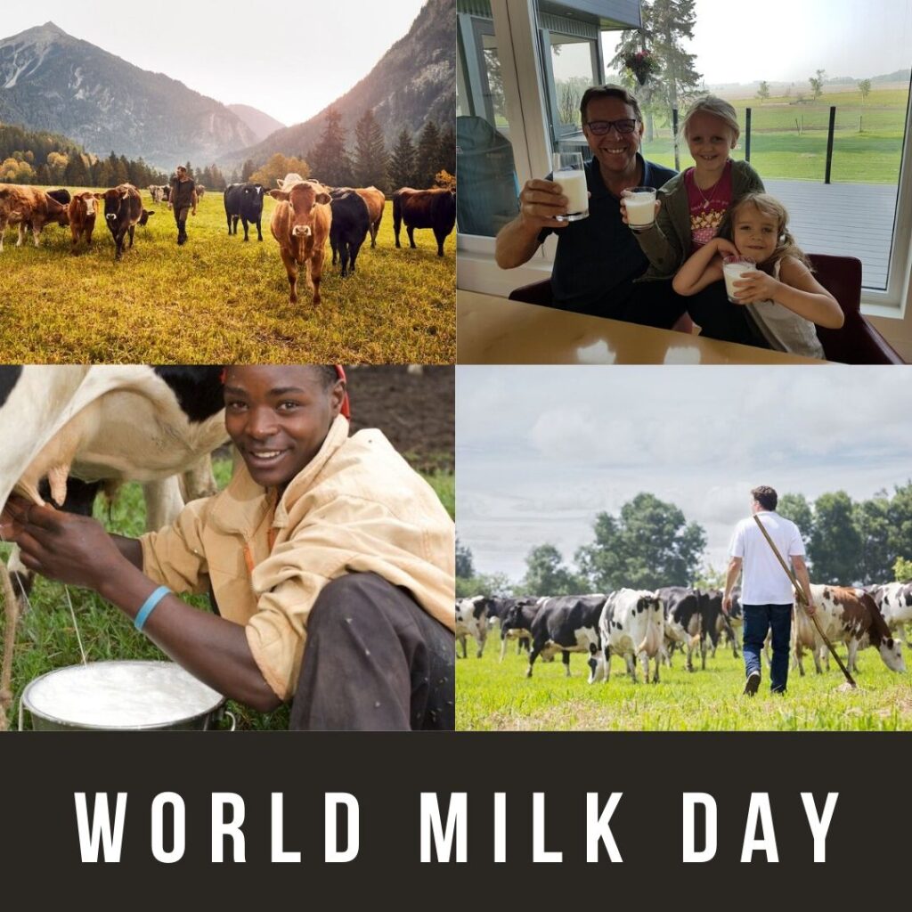 World Milk Day