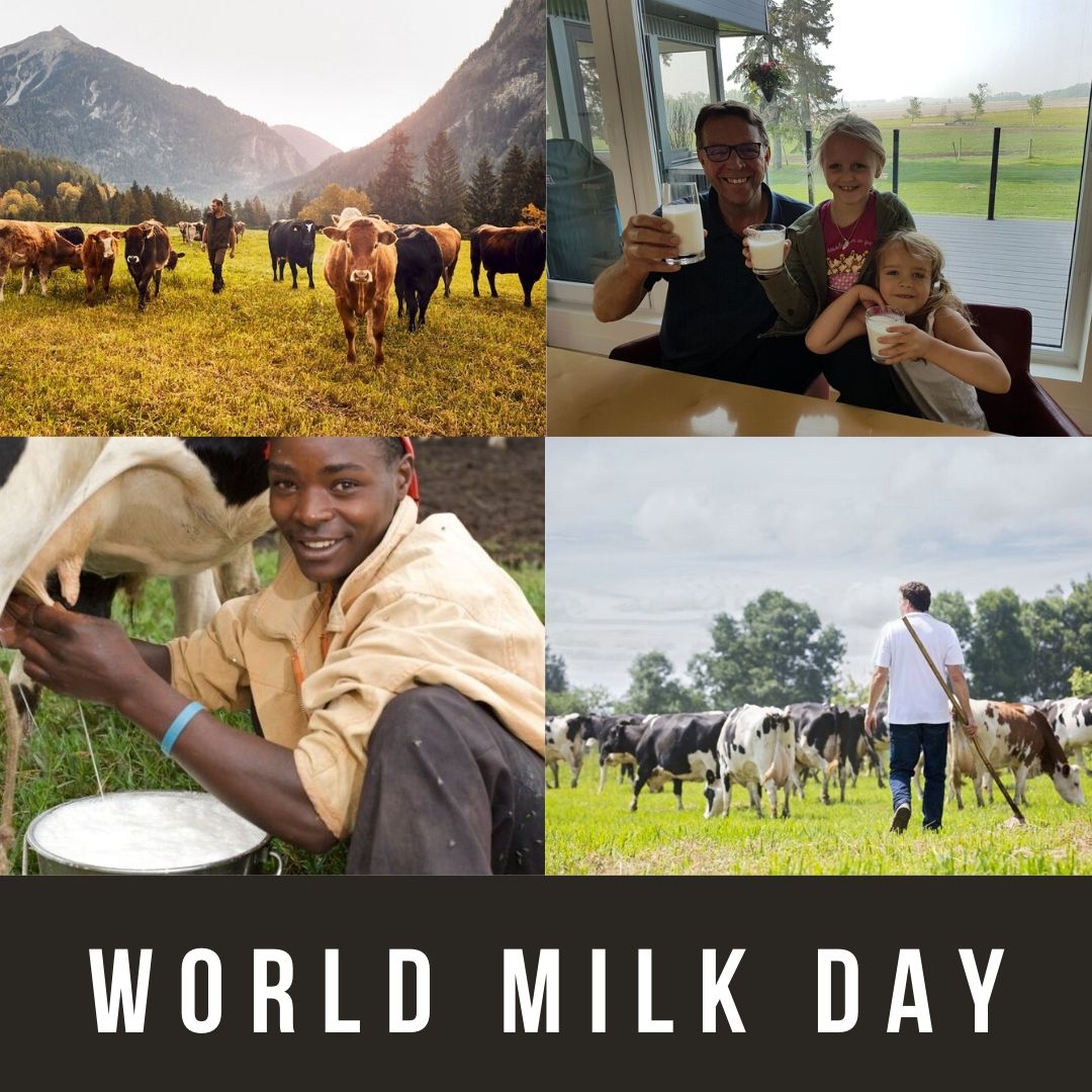 World Milk Day 2024 Eventlas