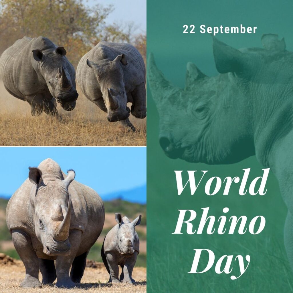 World Rhino Day