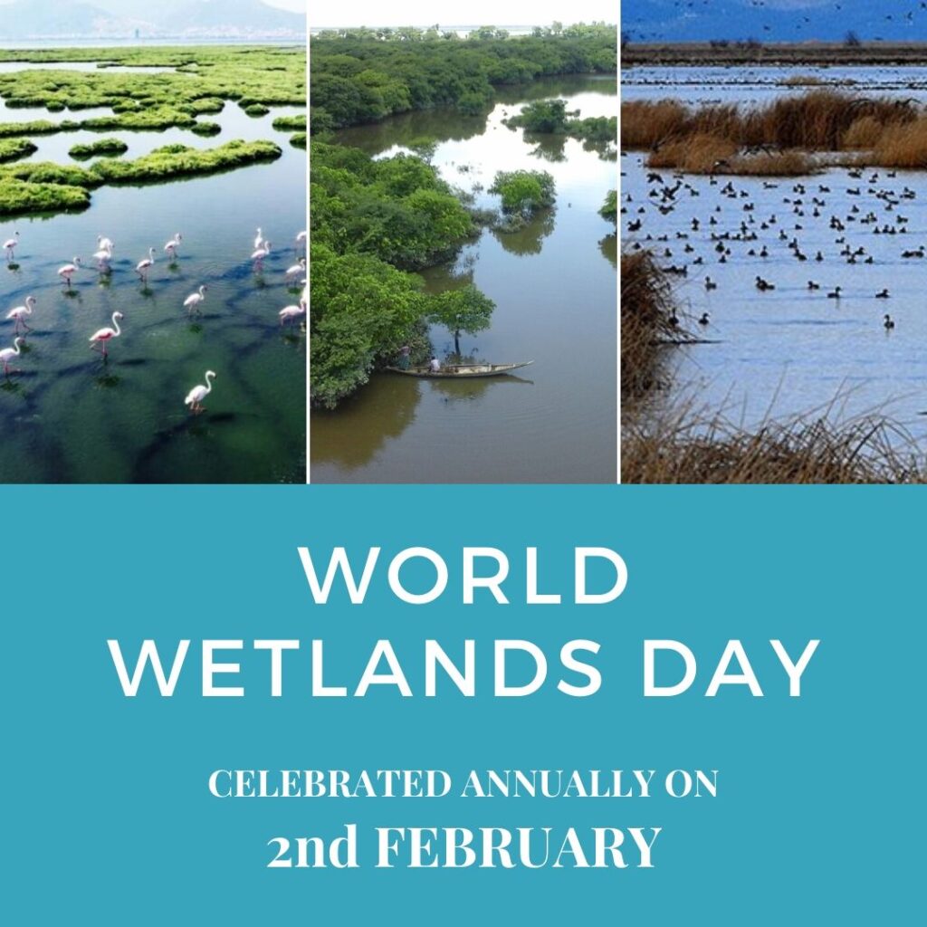 World Wetlands Day, Community Events, News