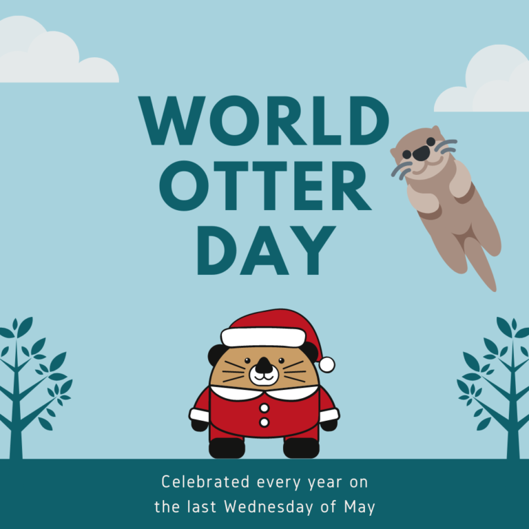World Otter Day 2024 Eventlas