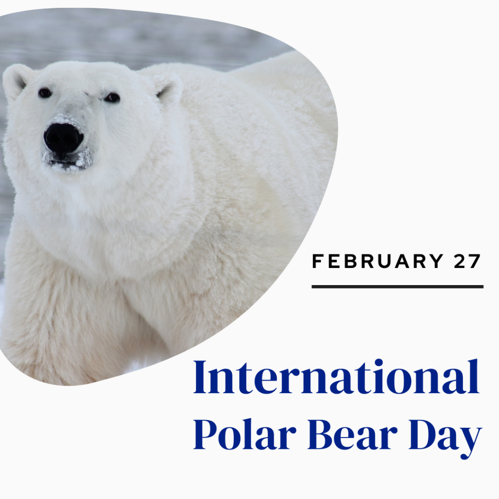 Белый медведь. International Polar Bear Day. Международный день полярного медведя. Белый медведь Мем.