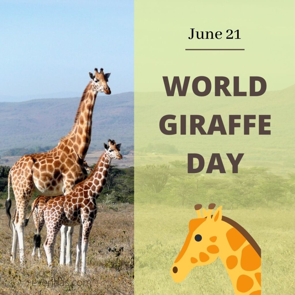 World Giraffe Day 2024 Eventlas