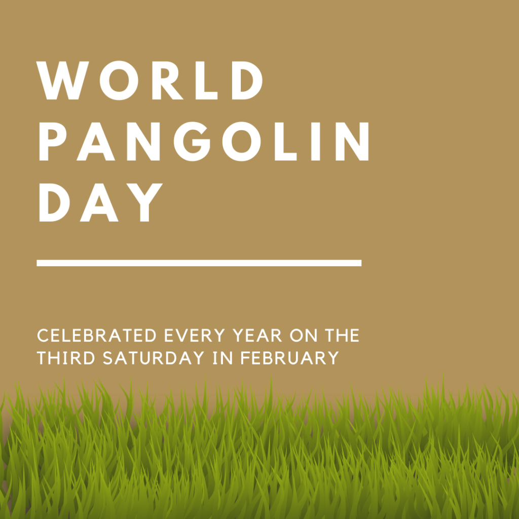 World Pangolin Day 2024 Eventlas