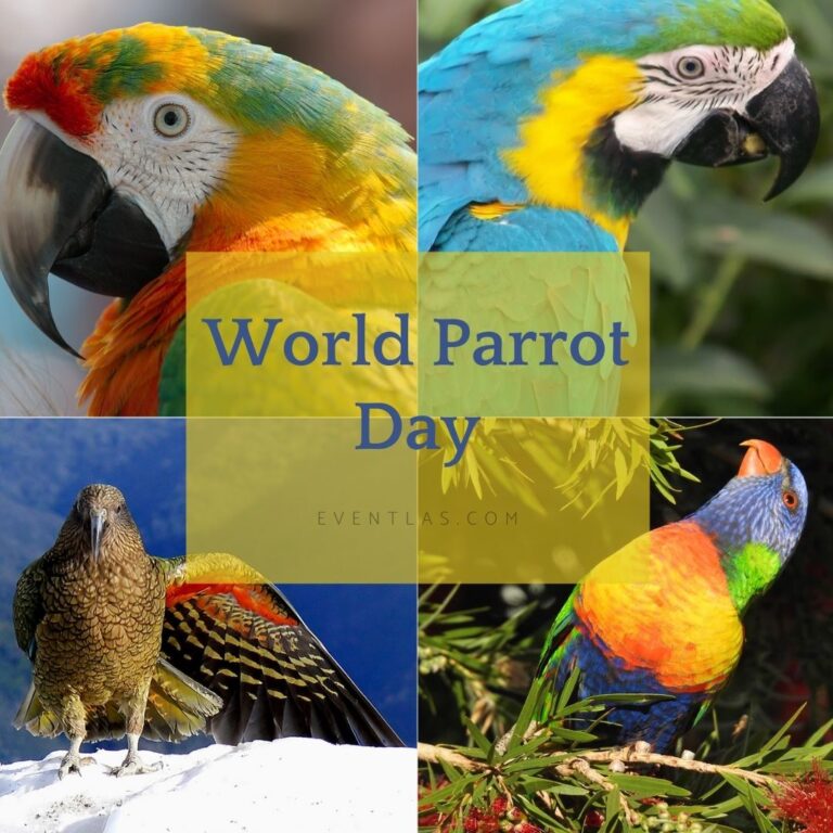 World Parrot Day 2024 Eventlas