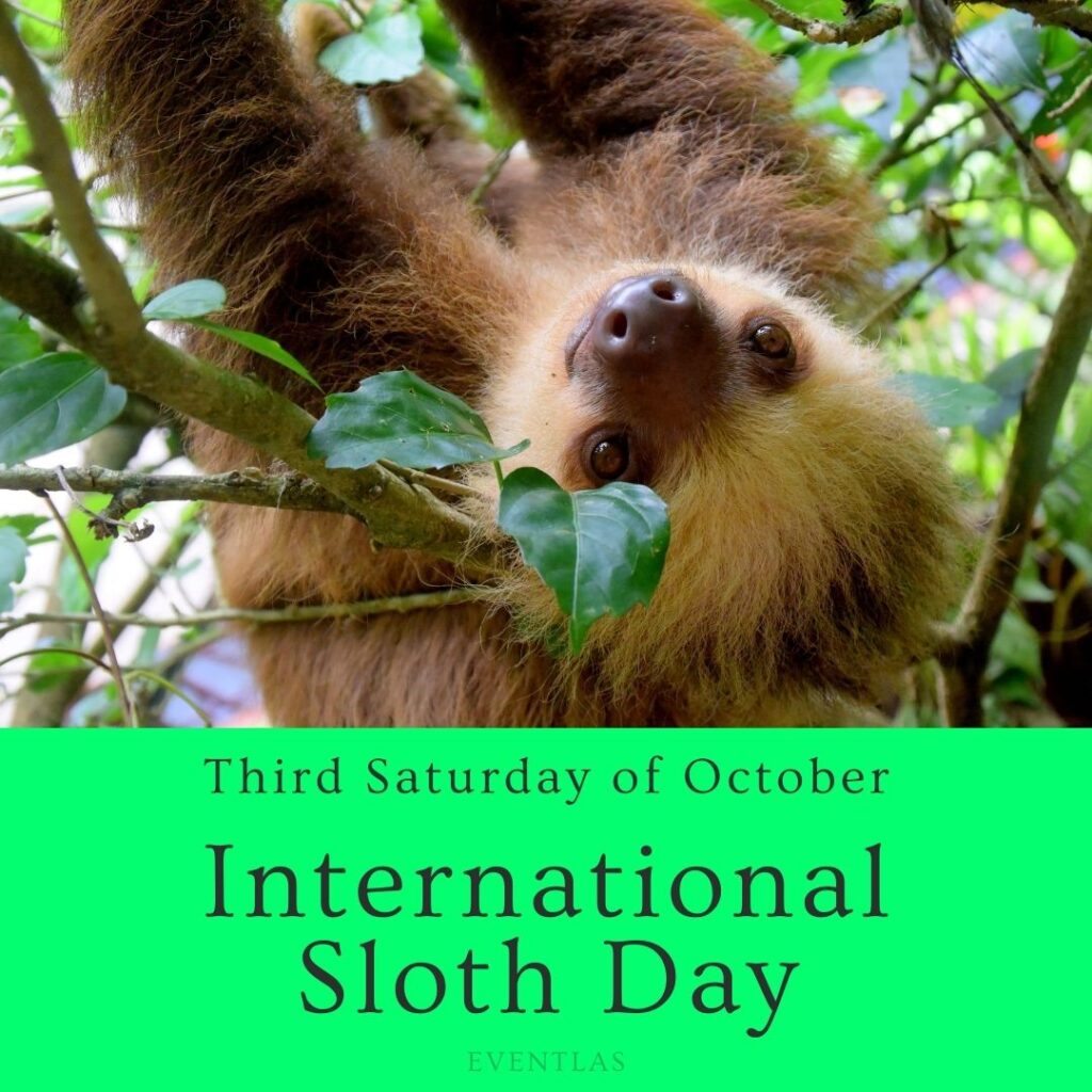 International Sloth Day