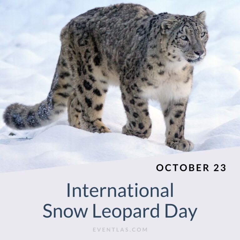 International Snow Leopard Day 2024 Eventlas