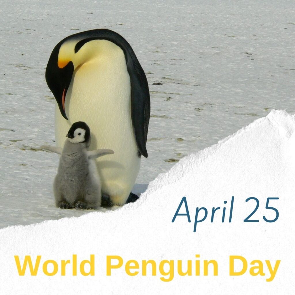 World Penguin Day