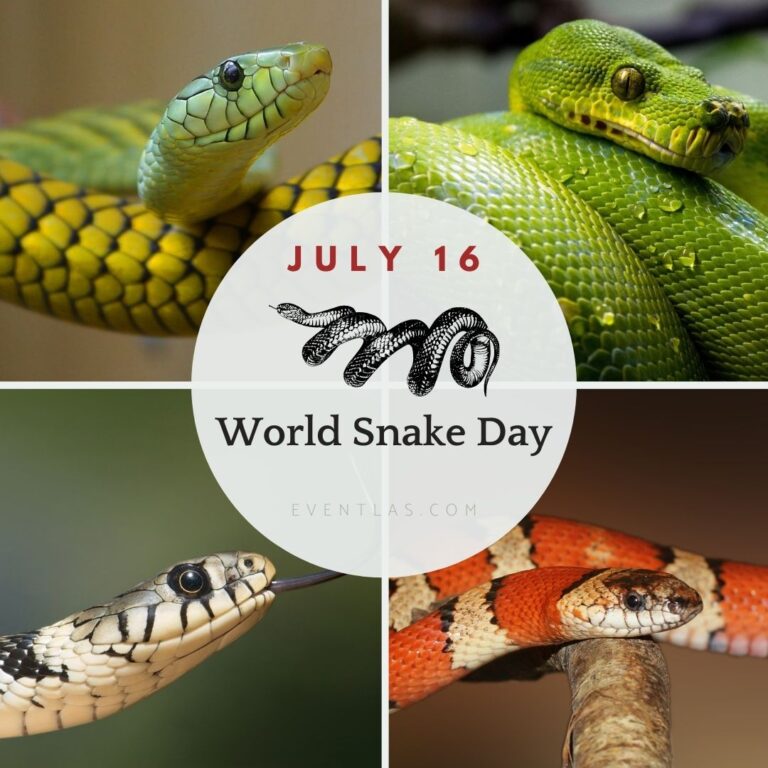 World Snake Day 2025 Eventlas