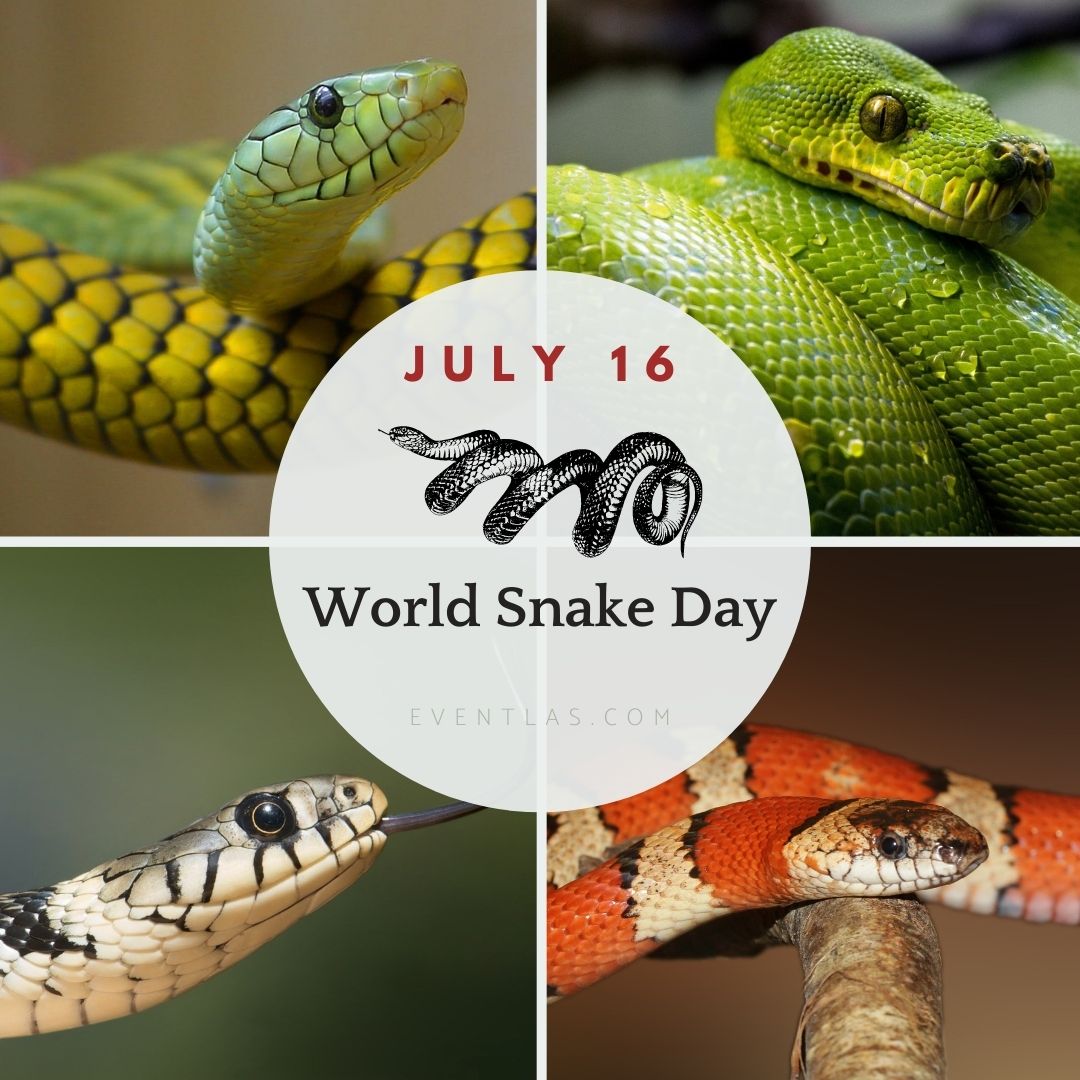 Snakes world. World Snake Day. World Snake.
