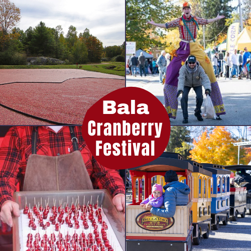 Bala Cranberry Festival 2024 Muskoka, Ontario Eventlas