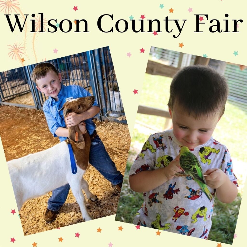 Wilson County Fair by Eventlas.com
