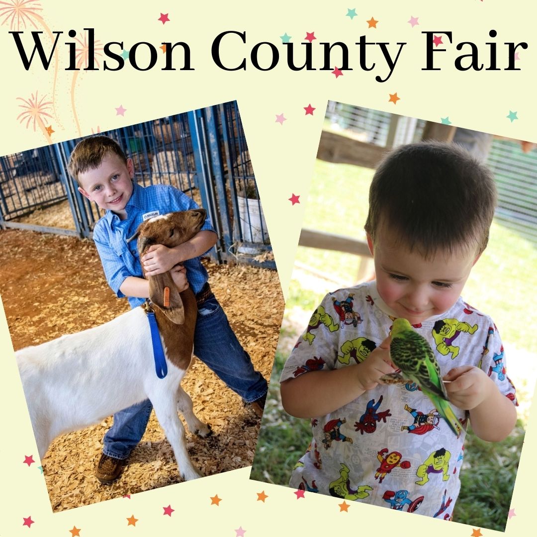 Wilson County Fair 2024 Lebanon, TN Eventlas