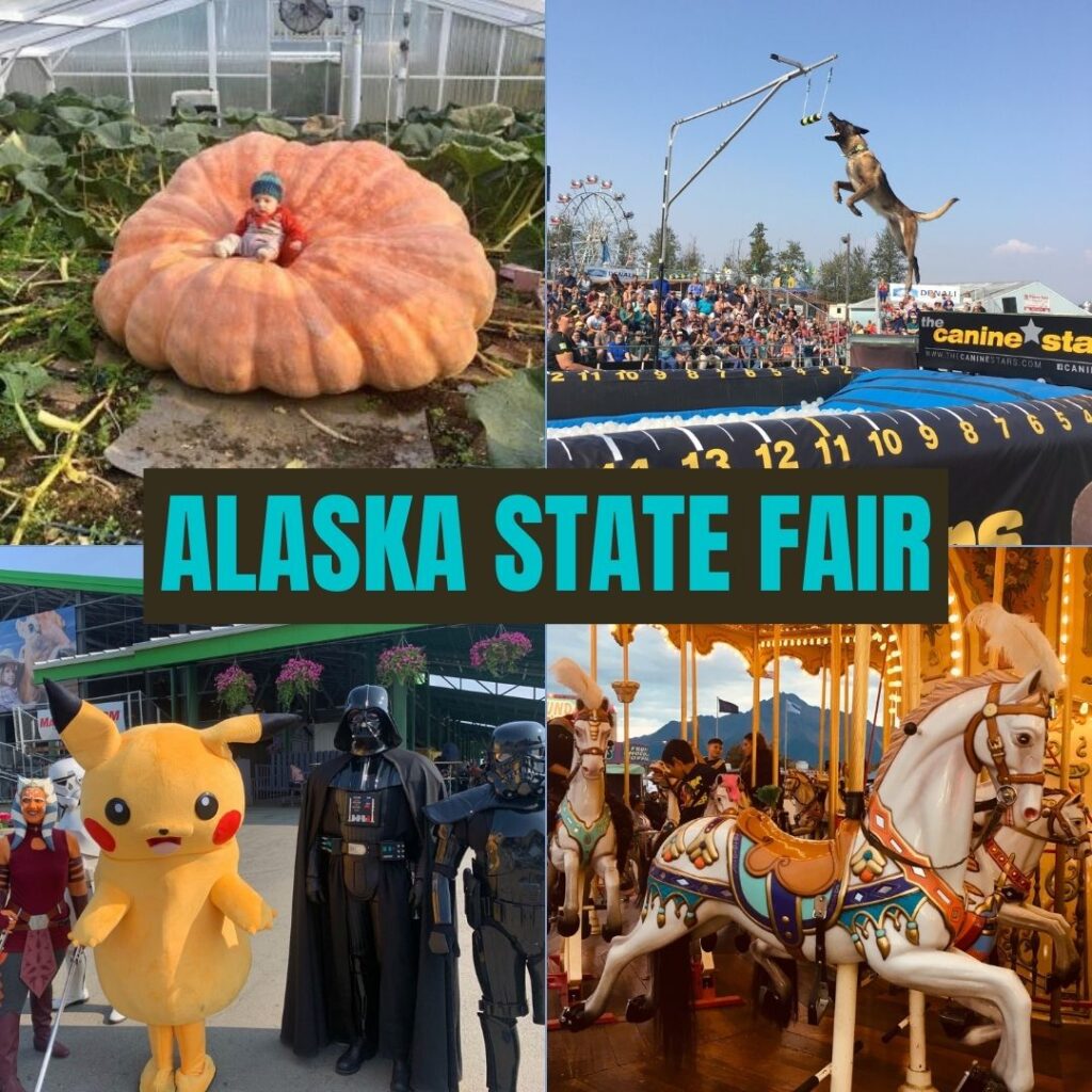 Alaska State Fair 2024 Dates Vinni Jessalin