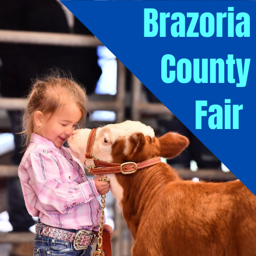 Brazoria County Fair