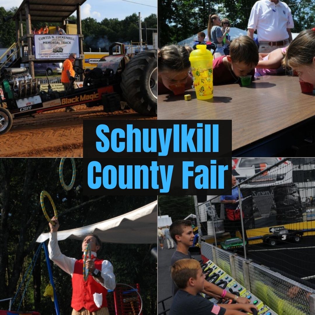 Are Dogs Allowed At The Schuylkill County Fair