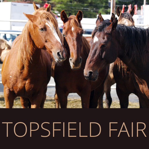 Topsfield Fair Dates 2024 Mavis Leontyne