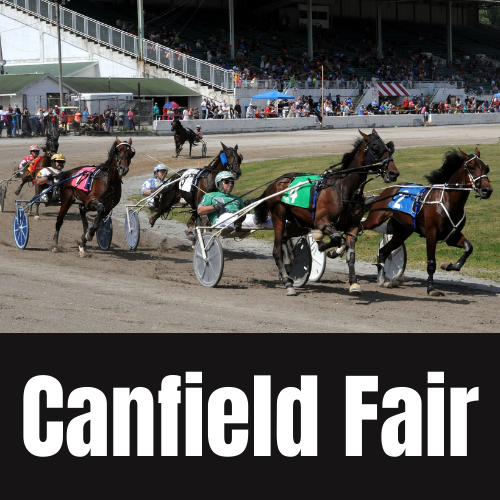 Canfield Fair