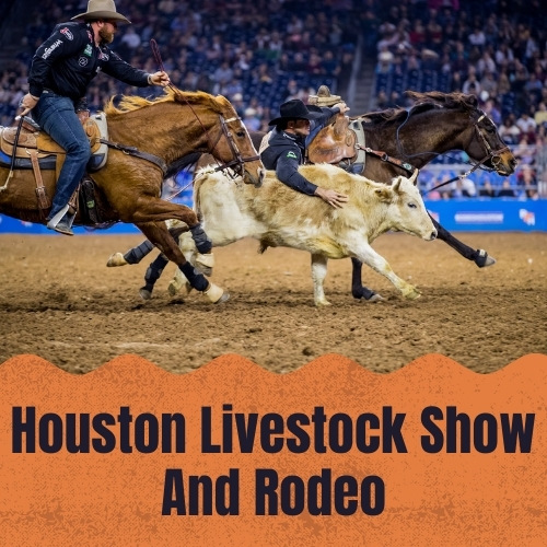 Houston Livestock Show And Rodeo
