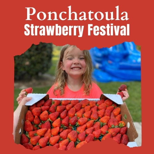 Ponchatoula Strawberry Festival