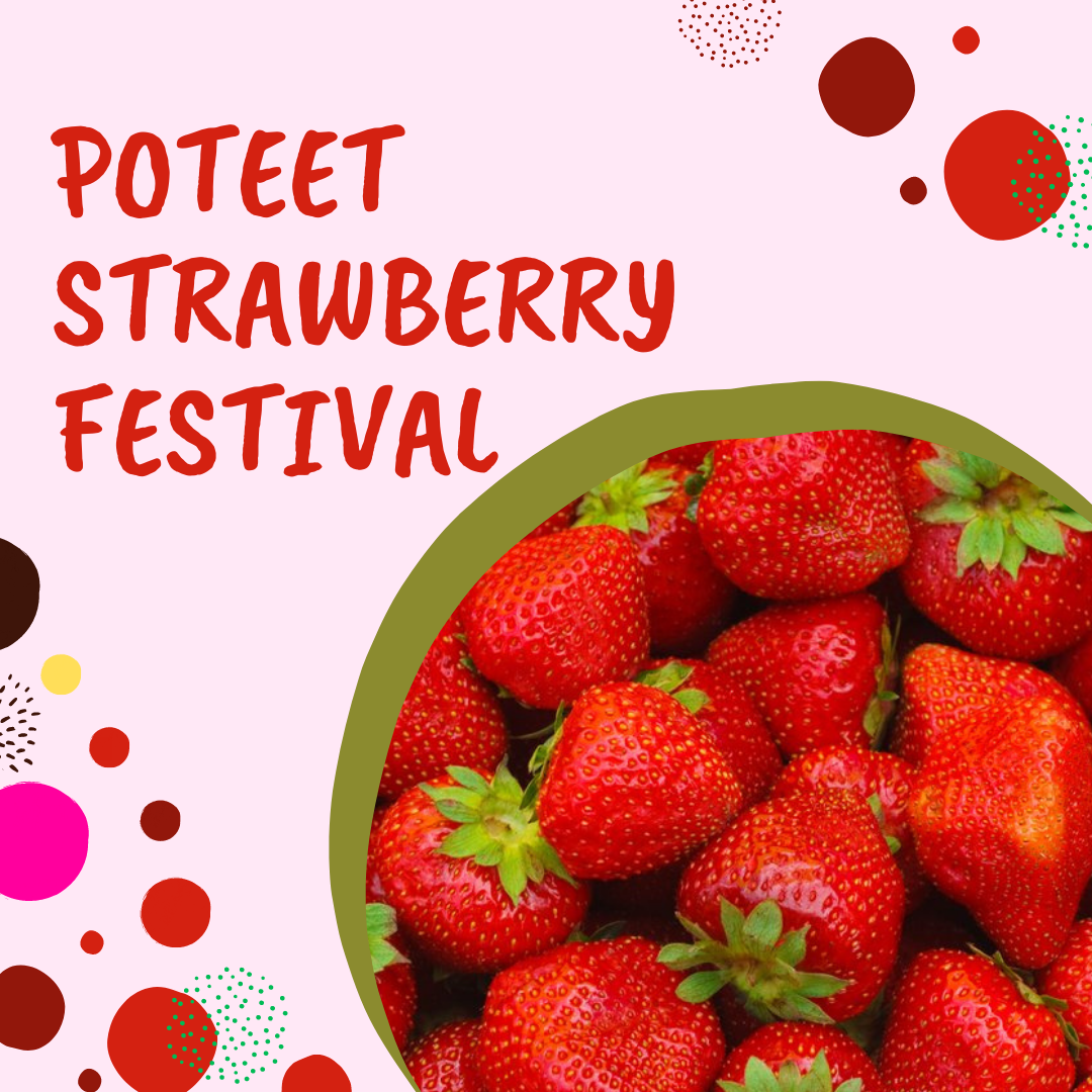 Poteet Strawberry Festival 2024 Tickets Clair Demeter