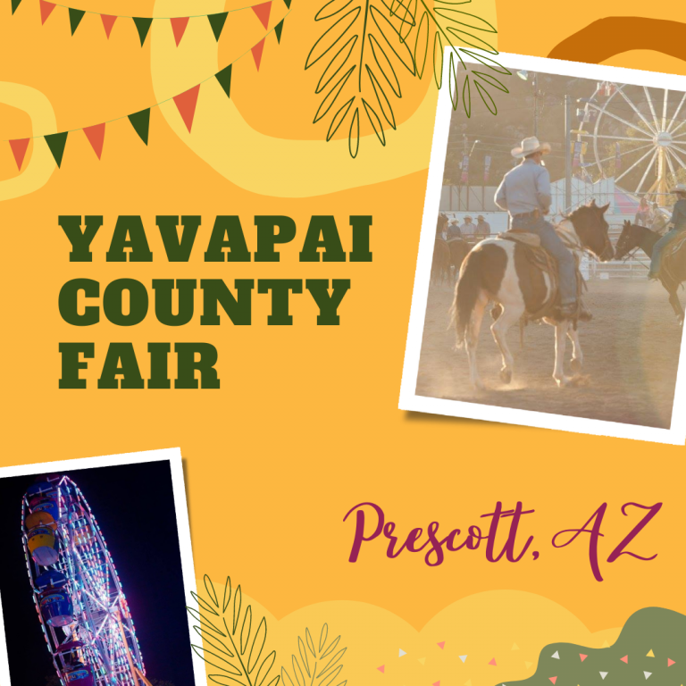 Yavapai County Fair 2024 - Cecil Filippa
