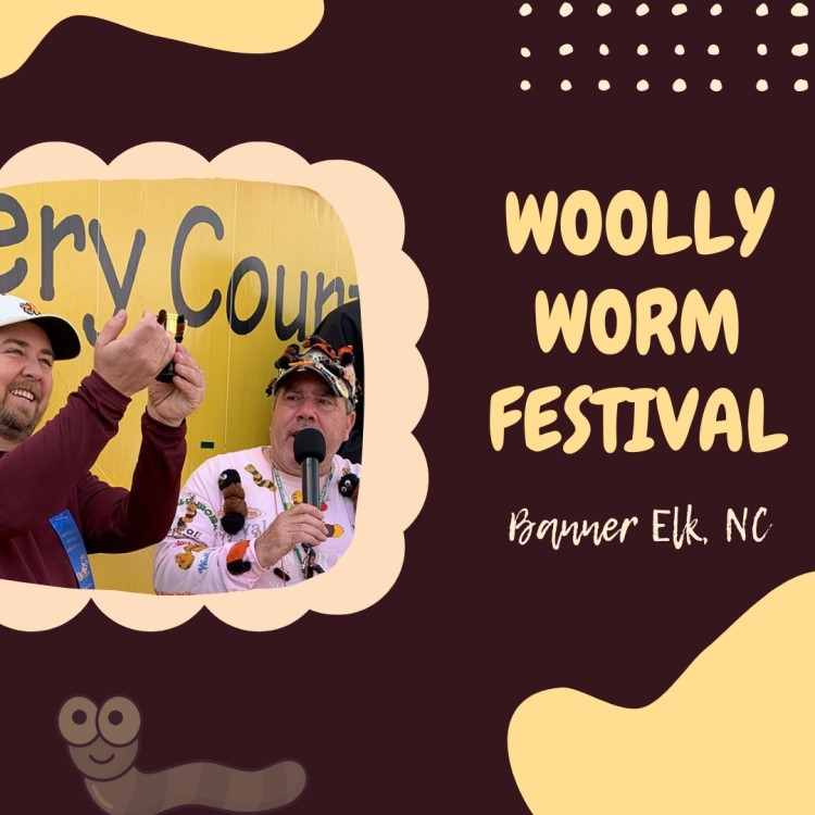 Woolly Worm Festival