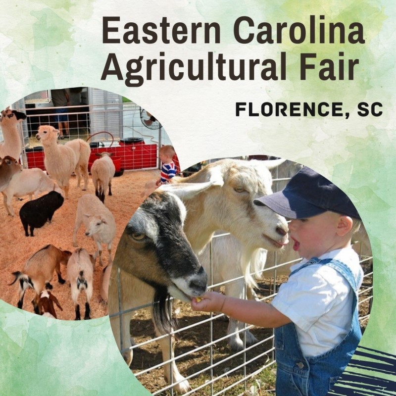 Eastern Carolina Agricultural Fair in Florence, SC