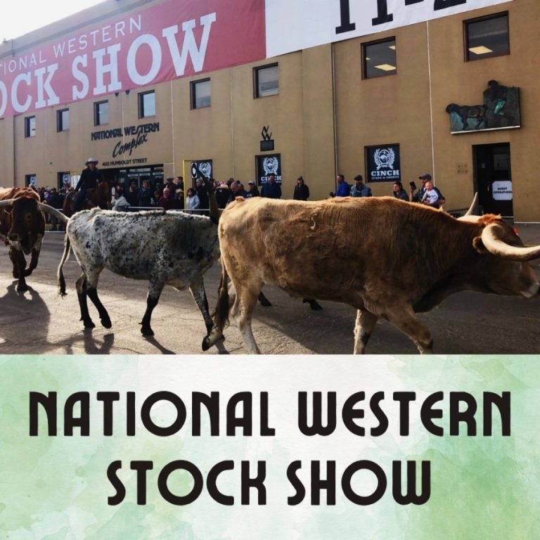 National Western Stock Show 768x768 