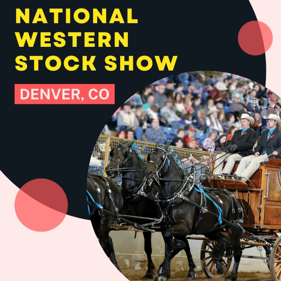 National Western Stock Show in Denver, CO