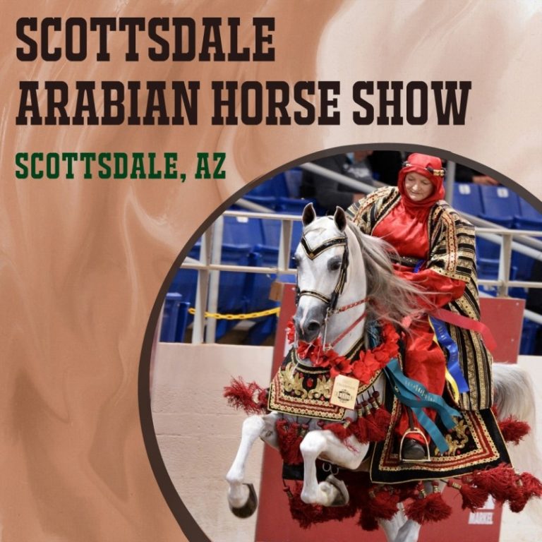 Scottsdale Arabian Horse Show 2024 Eventlas