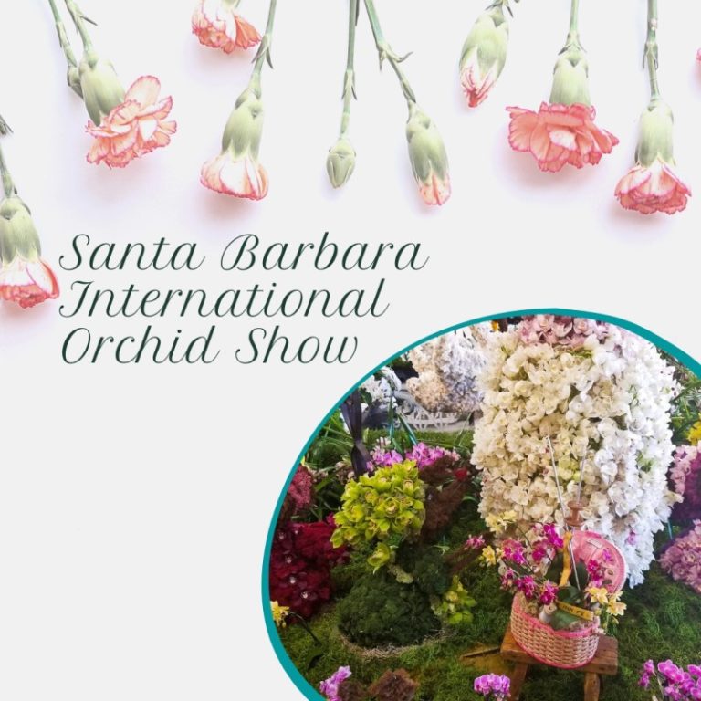 Santa Barbara International Orchid Show 2024 Eventlas