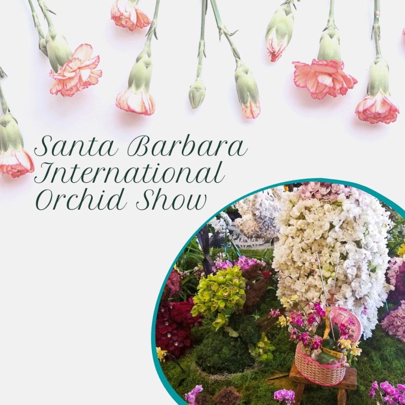 International Orchid Show in Santa Barbara, California