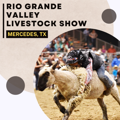 Rio Grande Valley Livestock Show in Mercedes, Texas