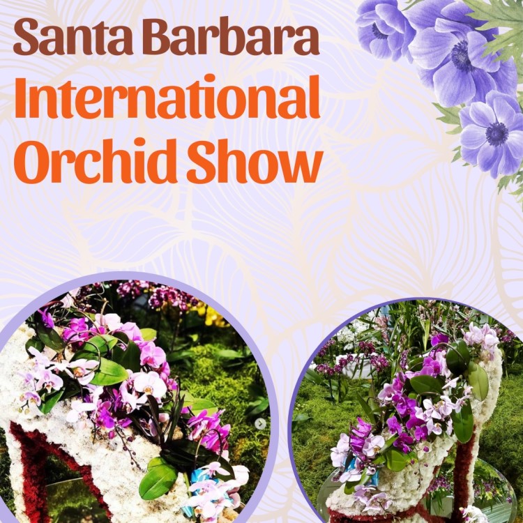 Santa Barbara International Orchid Show