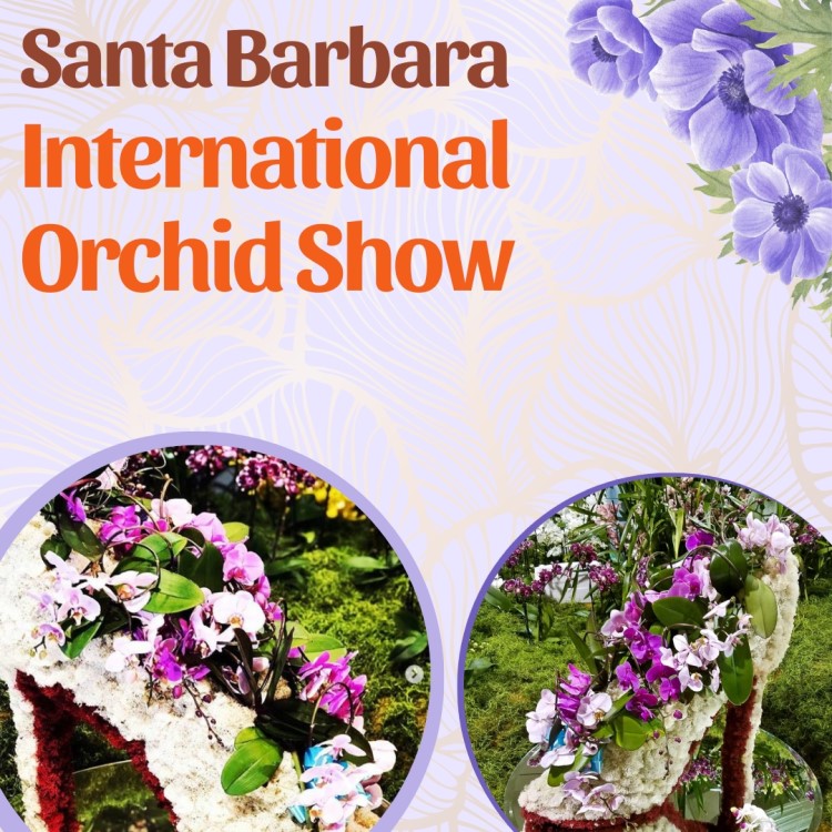 Santa Barbara International Orchid Show 2024 Eventlas