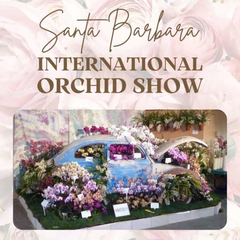 Santa Barbara International Orchid Show 2024 Eventlas