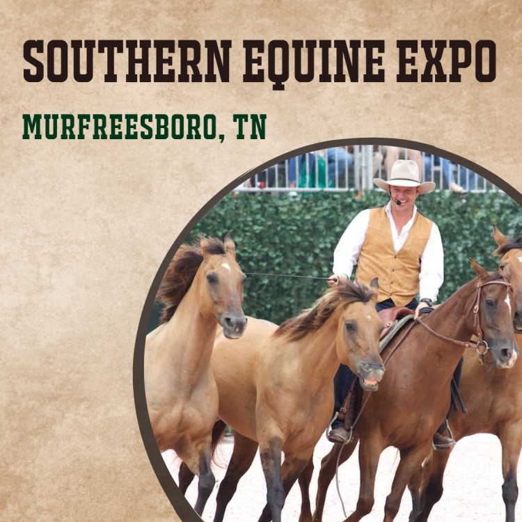 Southern Equine Expo in Murfreesboro, TN