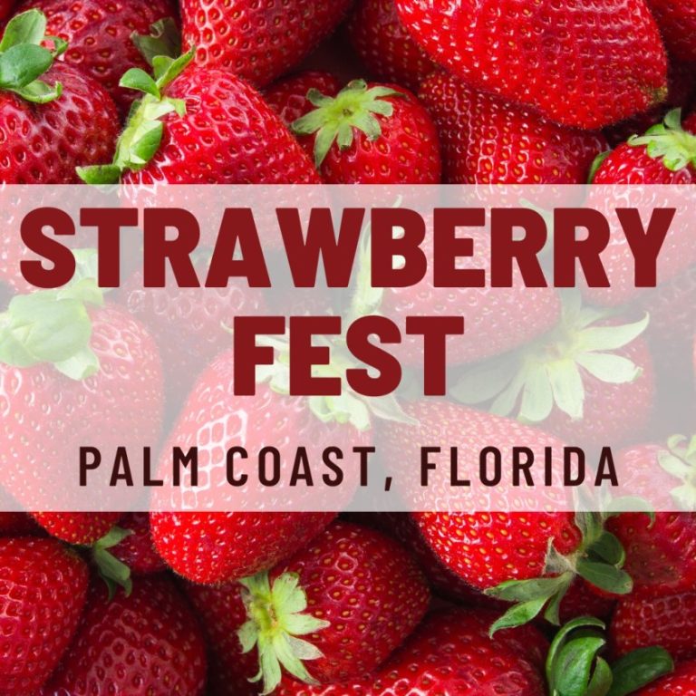 Strawberry Fest Palm Coast Florida 768x768 