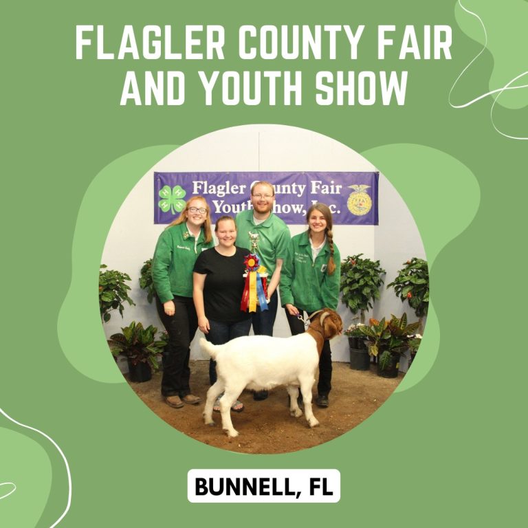 Flagler County Fair and Youth Show 2024 Bunnell, FL Eventlas