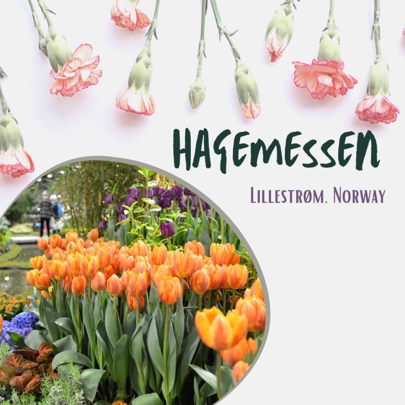 Hagemessen Lillestrom Norway