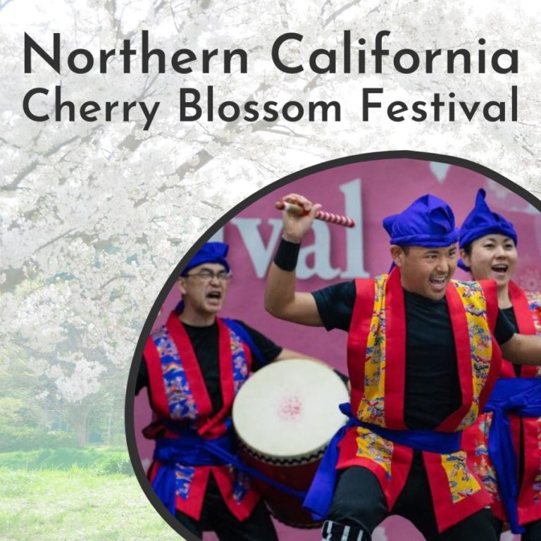 Northern California Cherry Blossom Festival 2024 San Francisco, CA