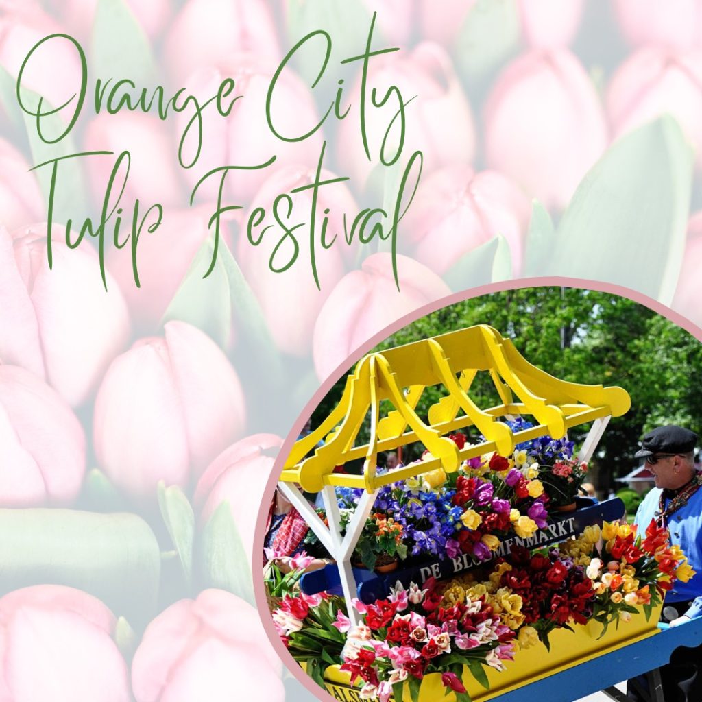 Orange City Tulip Festival Iowa