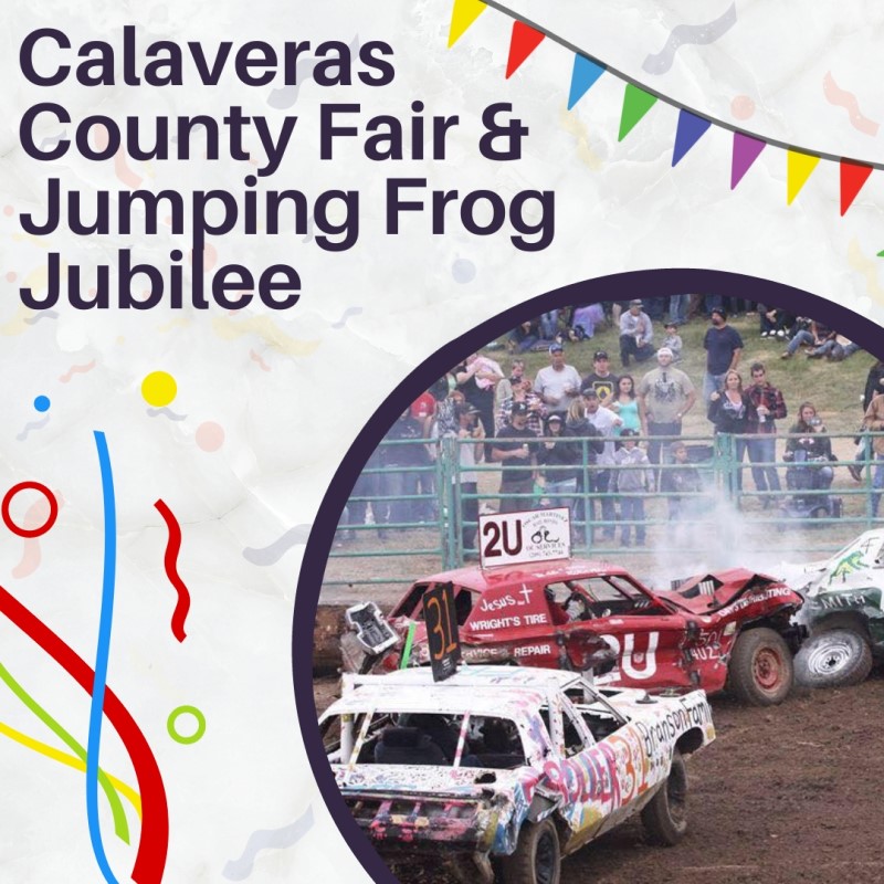 Calaveras County Fair and Jumping Frog Jubilee in Angels Camp, CA
