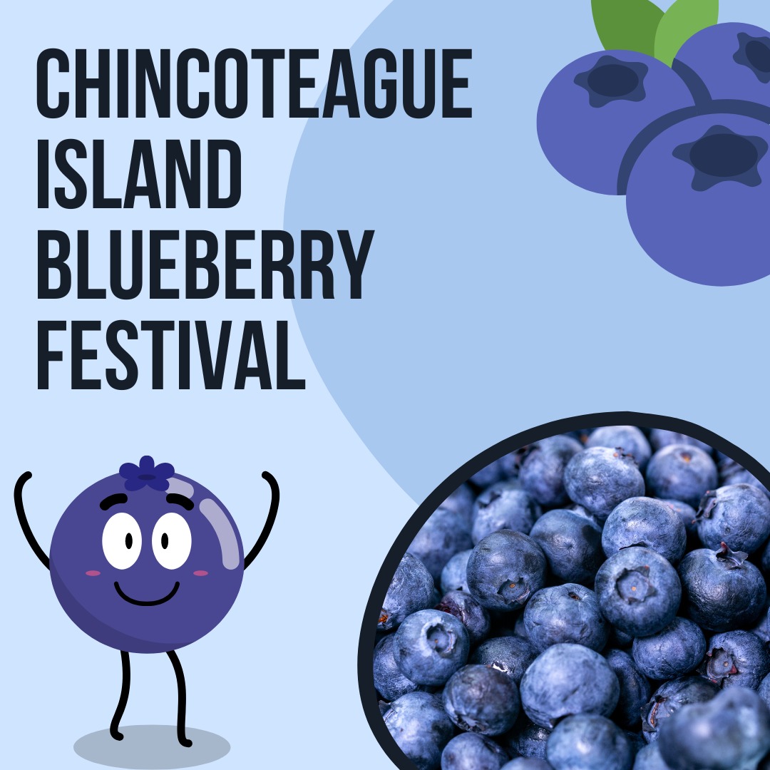 Chincoteague Island Blueberry Festival 2024 Eventlas